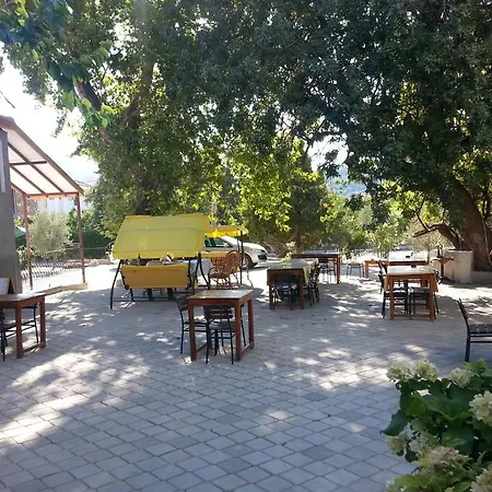 Sureyya 3* Фетхие